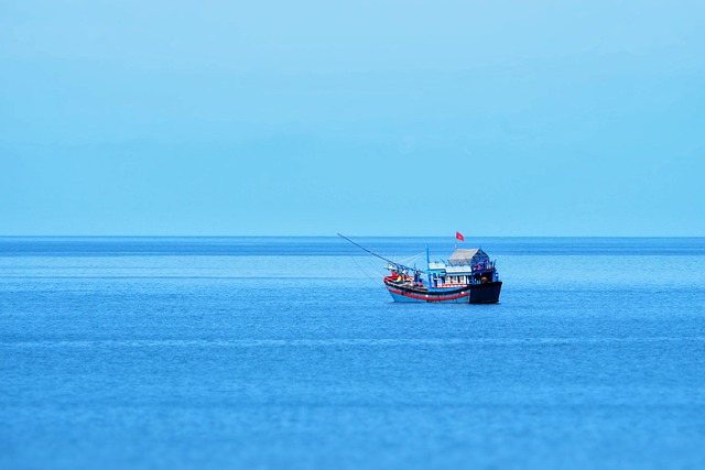 tostadas integrales con palta y huevo pochado